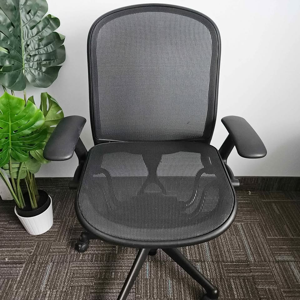 Knoll Chadwick