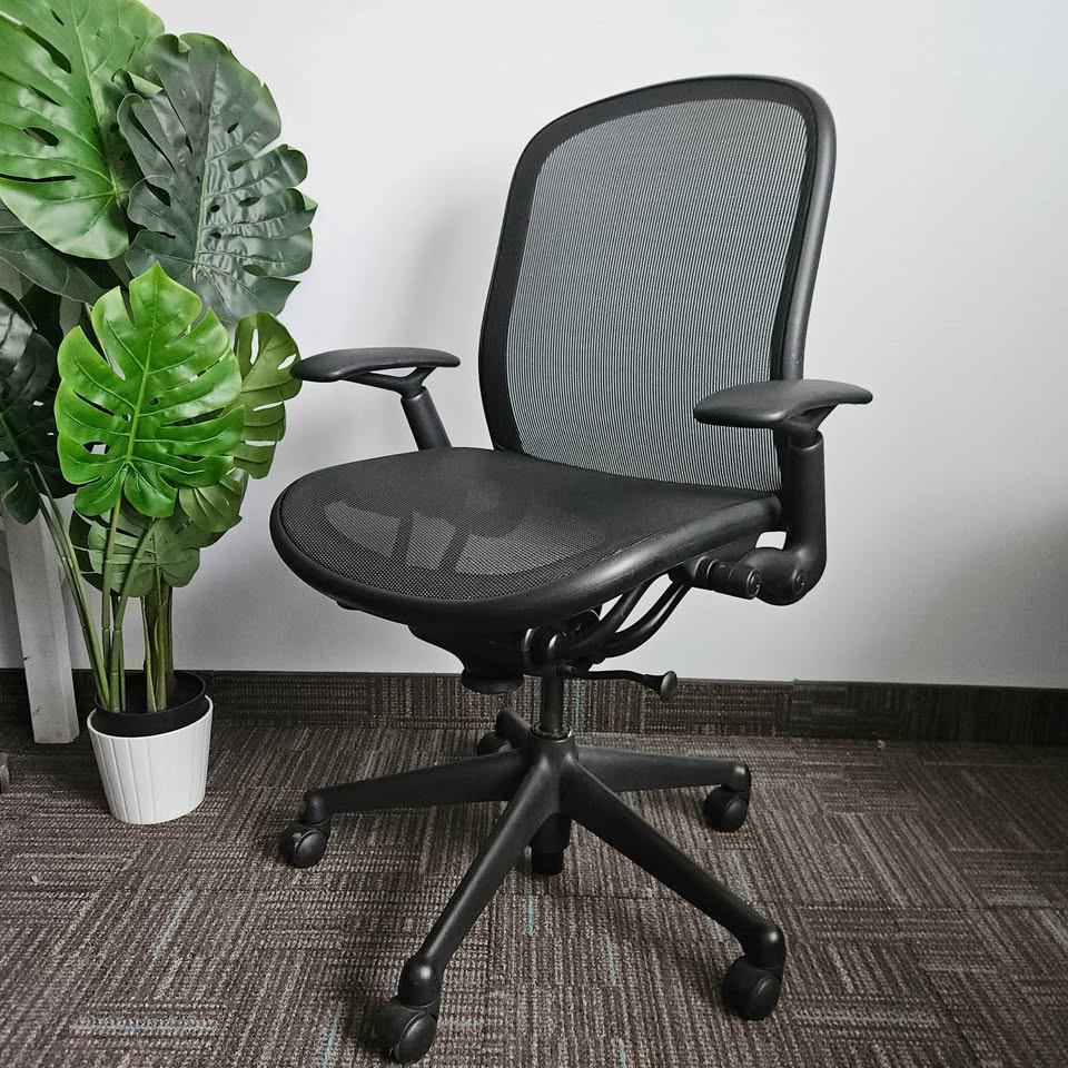 Knoll Chadwick