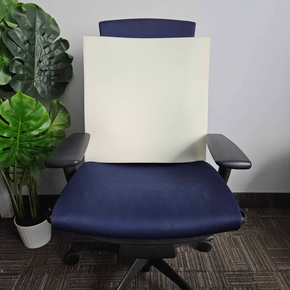 Herman Miller Embody