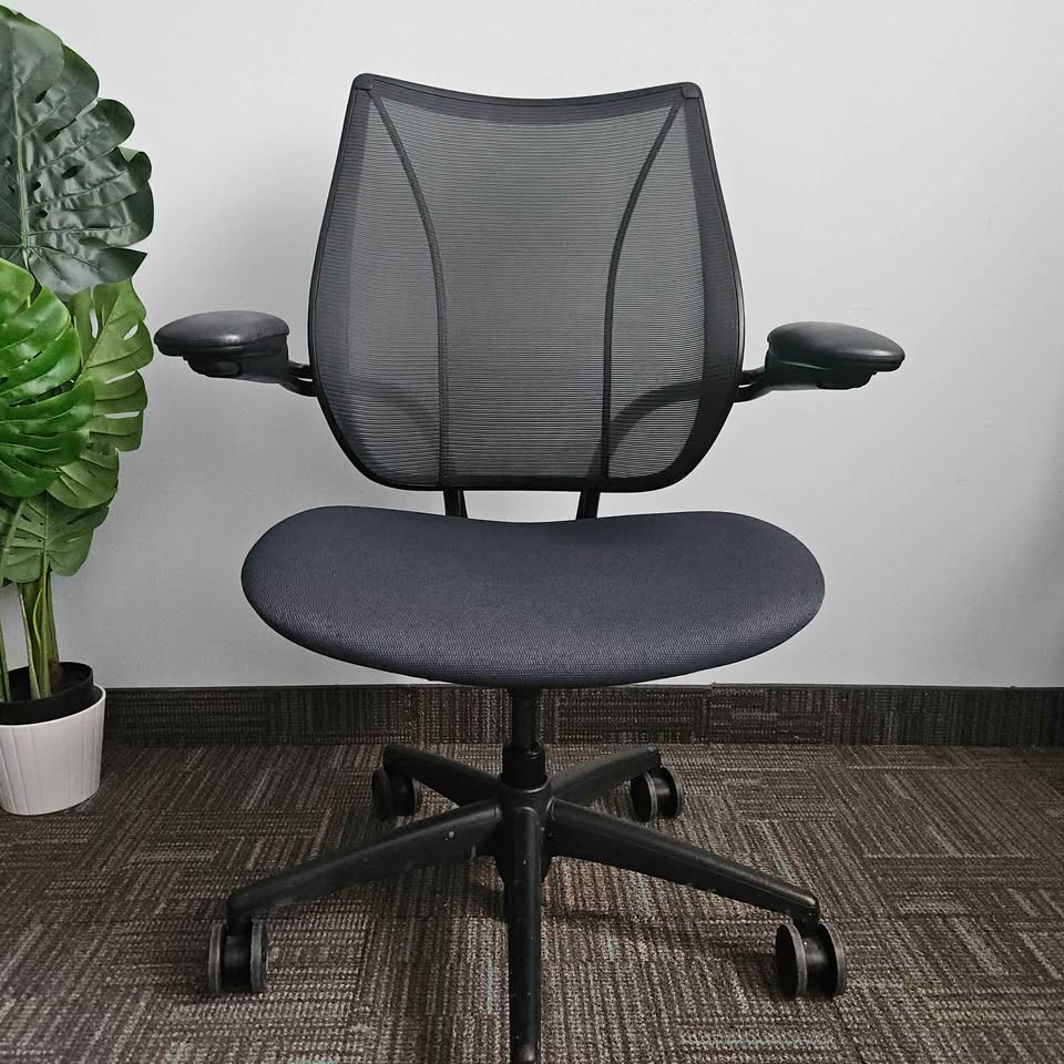 Humanscale liberty