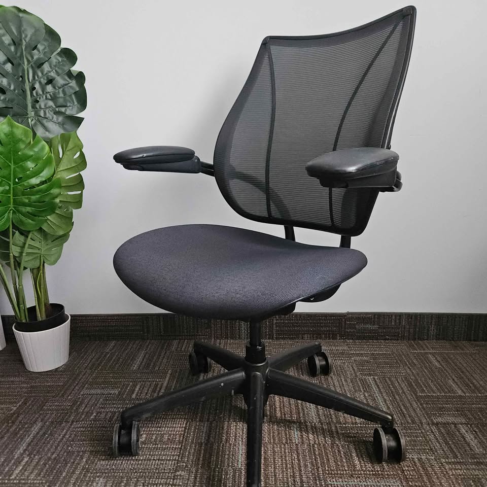 Humanscale liberty