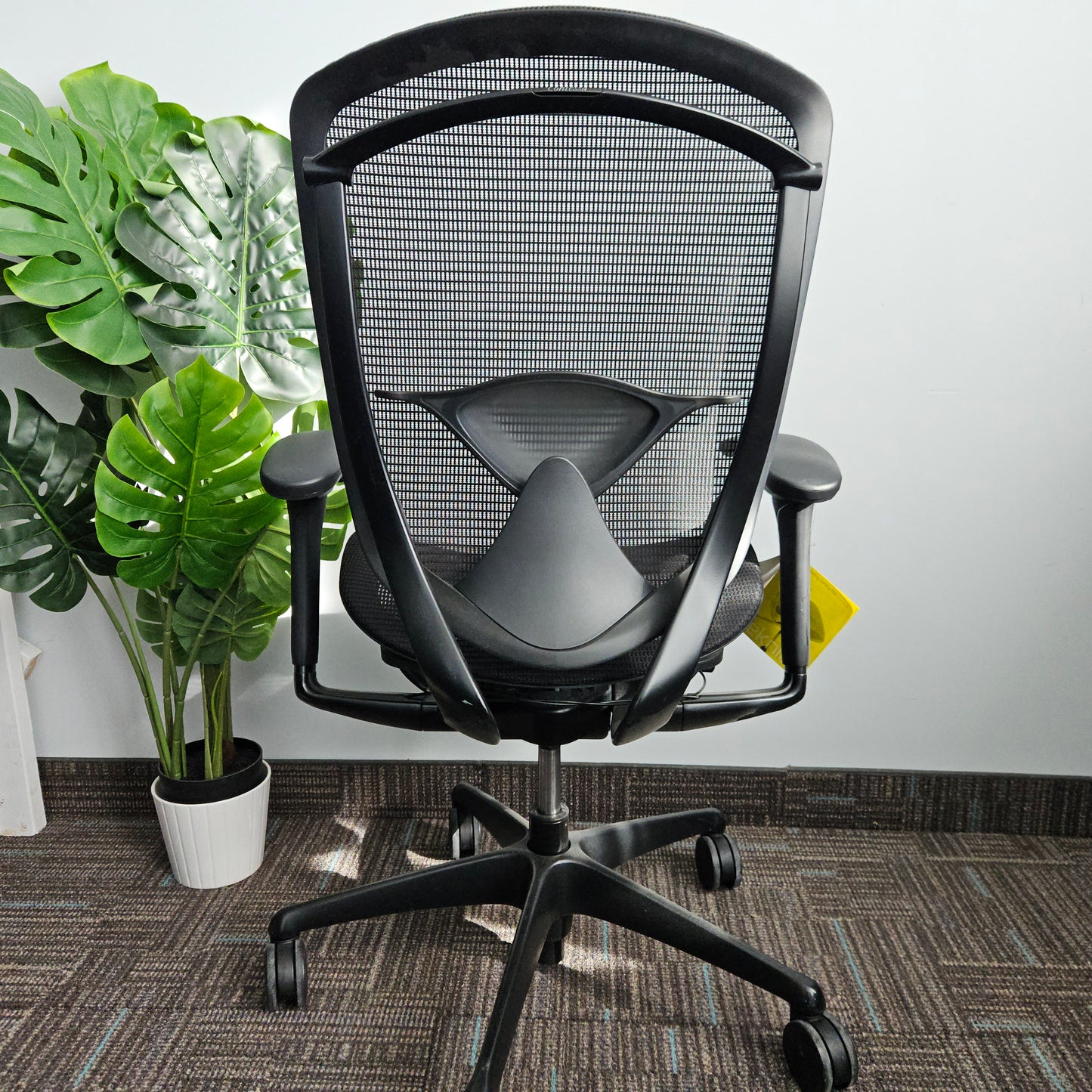 Teknion Nuova Contessa