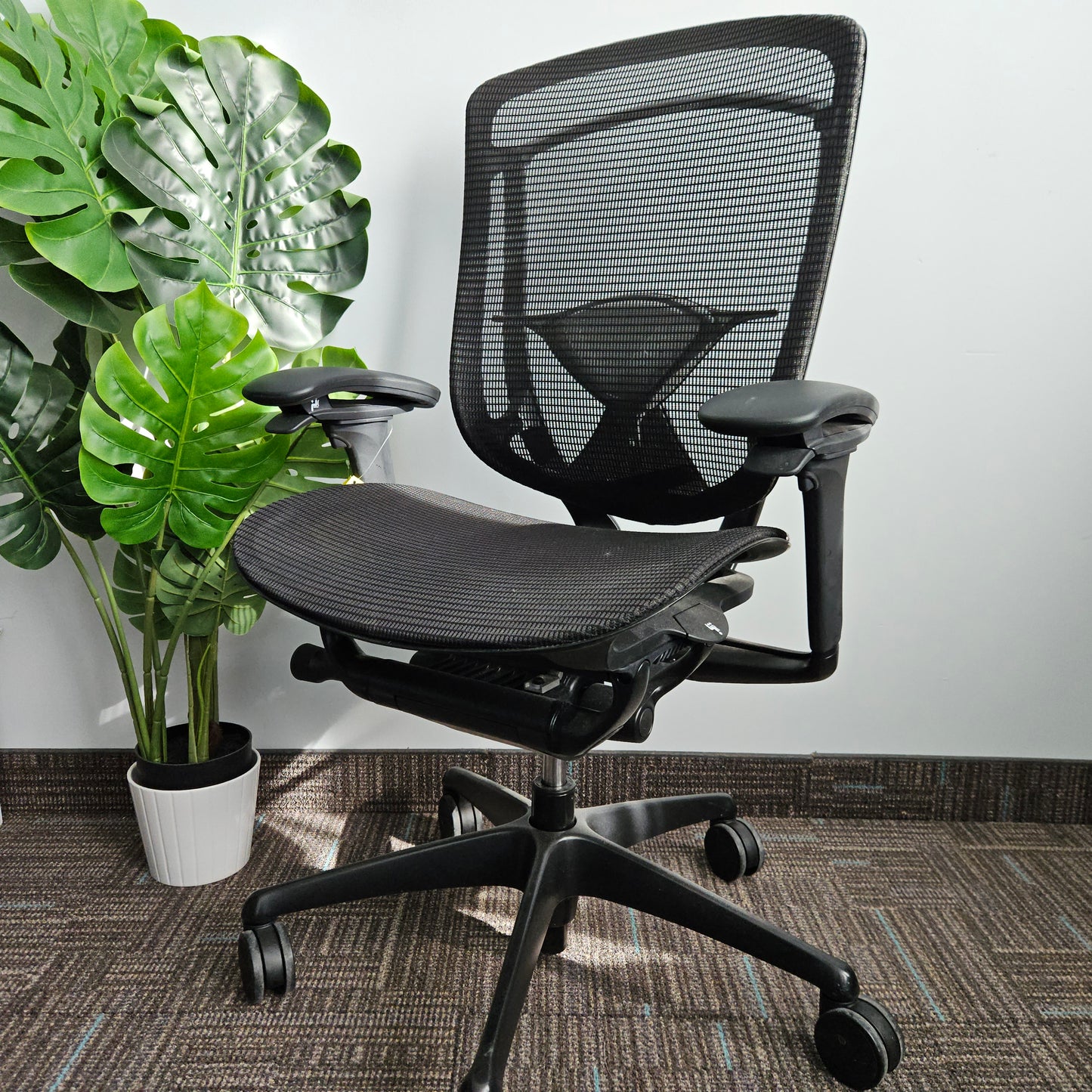 Teknion Nuova Contessa