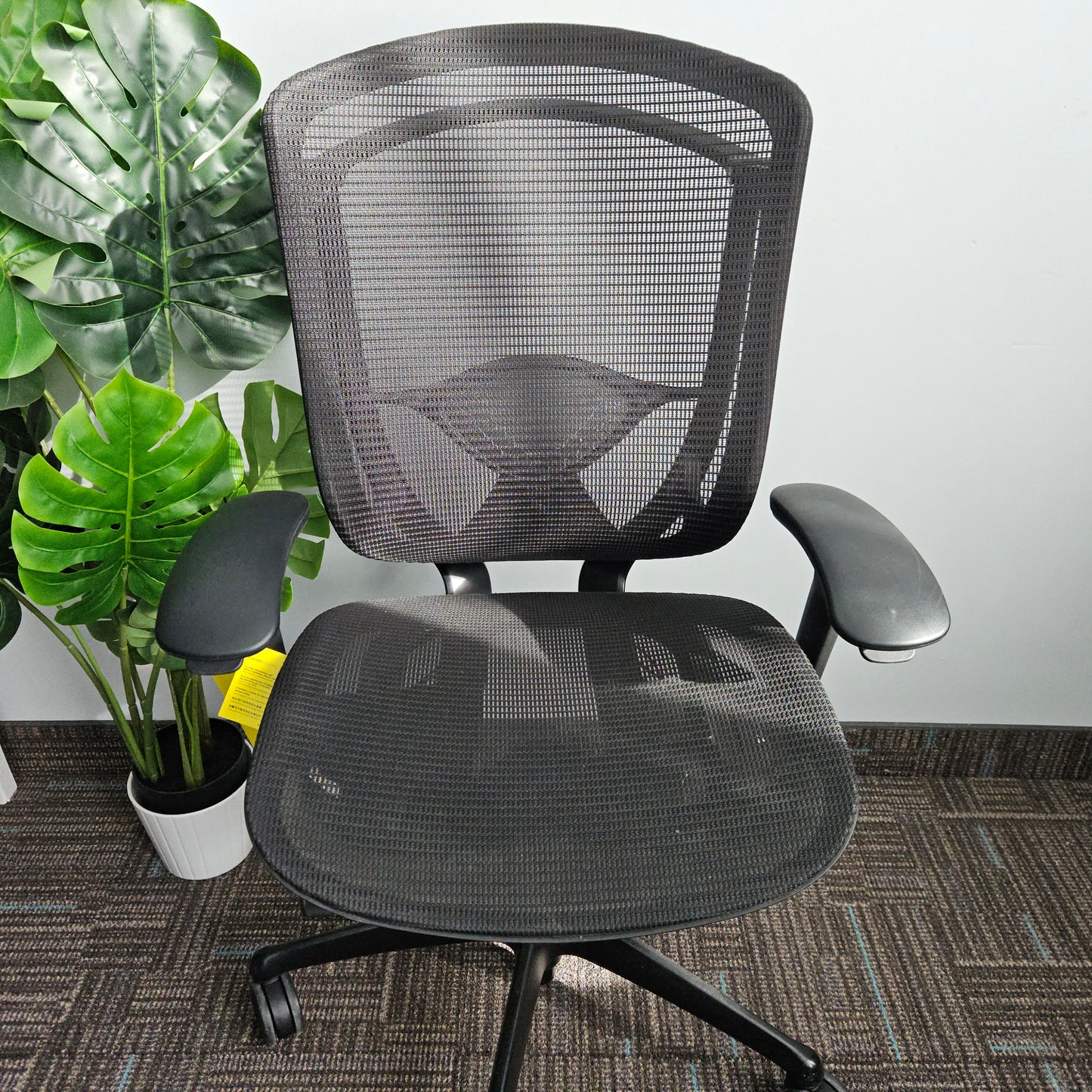 Teknion Nuova Contessa